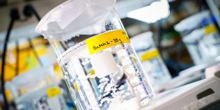 O substanță administrată prin injecție repară țesuturi din interior. Descoperirea promițătoare pentru inimă și creier