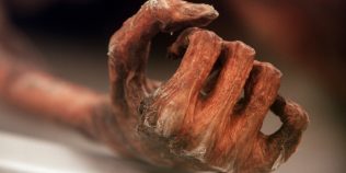 Ötzi, omul ghețurilor, mai ascundea un secret. Ce au aflat cercetătorii din microbii lui vechi de mii de ani