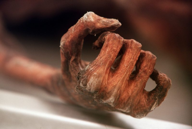 Ötzi, omul ghețurilor, mai ascundea un secret. Ce au aflat cercetătorii din microbii lui vechi de mii de ani