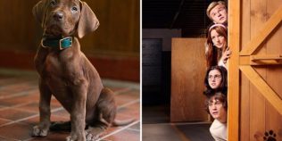 Netflix a dezvăluit primul Scooby-Doo real din istoria francizei. Cum arată celebrul câine care va apărea în noul serial live-action