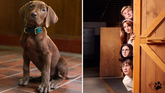 Netflix a dezvăluit primul Scooby-Doo real din istoria francizei. Cum arată celebrul câine care va apărea în noul serial live-action