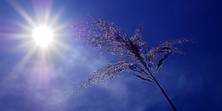 Valul de aer tropical ajunge în România. Zonele în care temperaturile vor depăşi 35 de grade