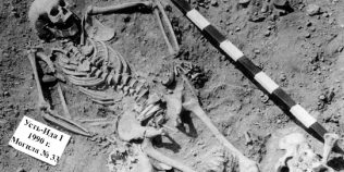 Cea mai veche epidemie de ciumă cunoscută a fost descoperită în Siberia: boala lovea mai ales copiii acum 5.500 de ani