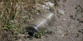 Imagini incredibile din Ucraina: ce au reușit păsările să facă din cablurile lăsate în urmă de drone