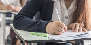 Subiectele la Limba română la Evaluarea Națională 2026. Rezumat și argumentare pe baza textelor suport de Veronica D. Niculescu și Carmen Strungaru