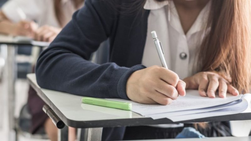 Subiectele la Limba română la Evaluarea Națională 2026. Rezumat și argumentare pe baza textelor suport de Veronica D. Niculescu și Carmen Strungaru