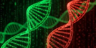 Premieră mondială în genetică: oamenii de știință au încărcat un genom complet într-un computer cuantic