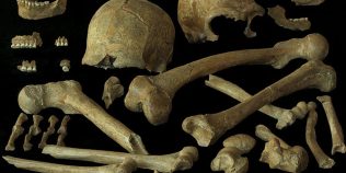 Nu erau condamnați genetic: ADN-ul ultimilor neanderthalieni schimbă misterul dispariției lor