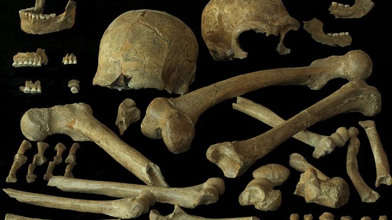 Nu erau condamnați genetic: ADN-ul ultimilor neanderthalieni schimbă misterul dispariției lor