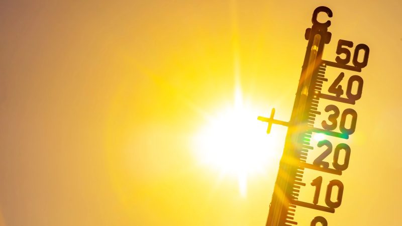 Codul roșu de caniculă se extinde în aproape toată România. Unde vor fi restricții de circulație