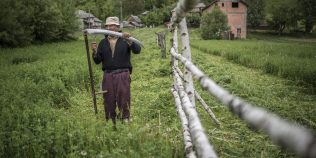 Platforma care îi duce pe turiști direct în gospodăriile de la sat. Gazdele pot câștiga bani legal, ce este programul „Viața la țară”