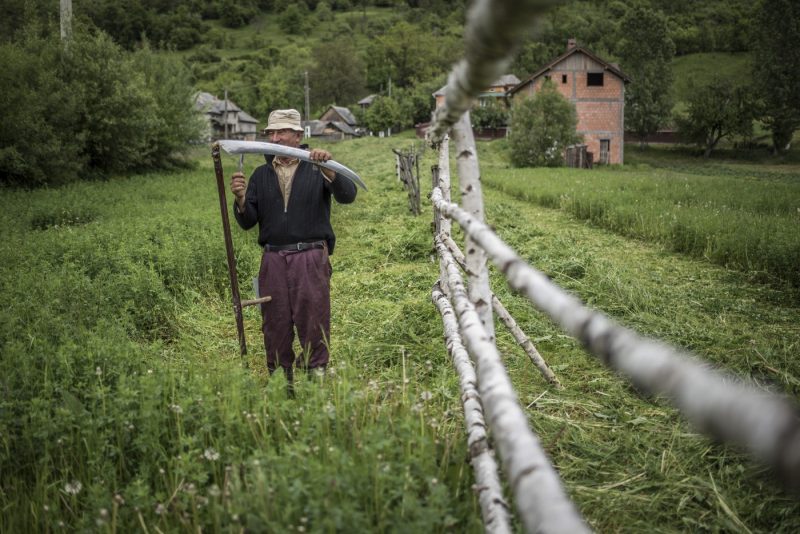 Platforma care îi duce pe turiști direct în gospodăriile de la sat. Gazdele pot câștiga bani legal, ce este programul „Viața la țară”