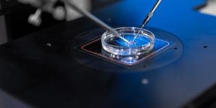 Fertilizarea in vitro, șansa tot mai multor românce de a deveni mame: „După 35 de ani, timpul contează enorm”
