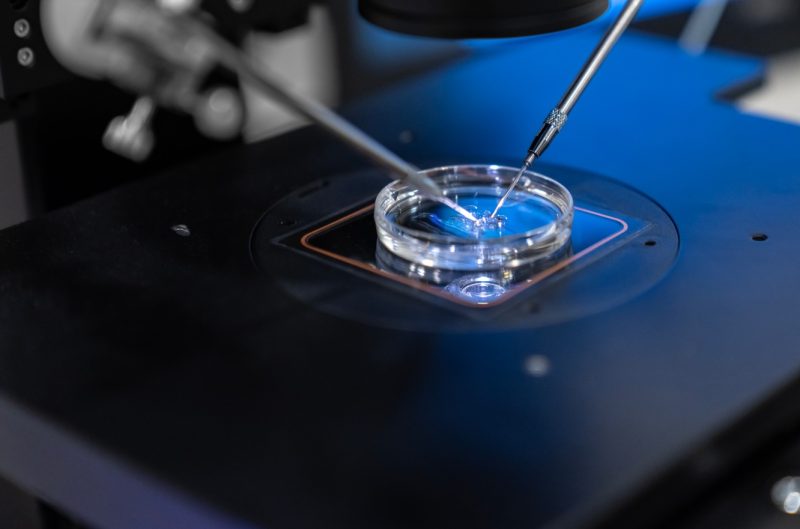 Fertilizarea in vitro, șansa tot mai multor românce de a deveni mame: „După 35 de ani, timpul contează enorm”