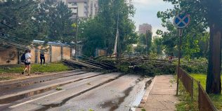 Cum pot fi evitate tragediile în timp de furtună. Motivul pentru care cad atât de mulţi copaci în Bucureşti când sunt vijelii