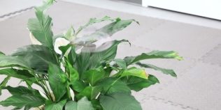 O nouă dronă pare aproape invizibilă în zbor. Cercetătorii au folosit AI și un efect al vederii umane pentru a o crea