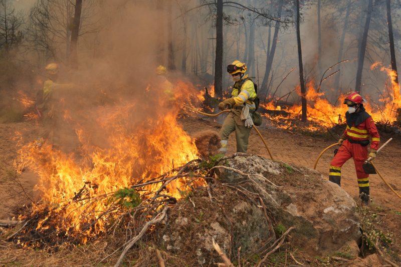 Incendiile din Spania și Franța dau peste cap vacanțele. Ce regiuni sunt afectate și unde există restricții