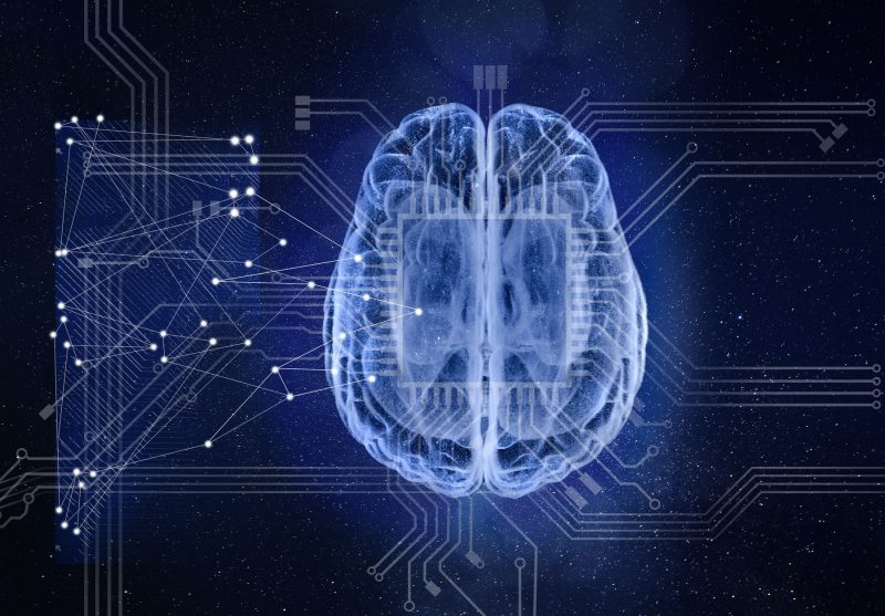 O descoperire despre creier ar putea schimba viitorul inteligenței artificiale. Deciziile se formează mai devreme decât credeau cercetătorii