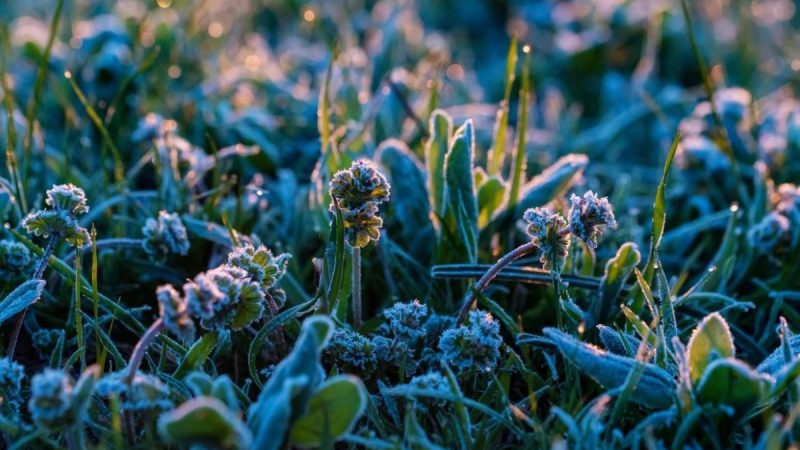 Locul din România unde s-a înregistrat un record de frig în luna iulie. Cum s-a ajuns la o scădere de 14 grade într-o zi