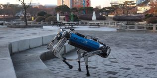 Un câine-robot învață singur cum să alerge în pădure și pe scări. Noua tehnologie AI îi schimbă mersul în timp real