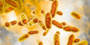 Bacteriile care „mănâncă” uraniu, descoperite într-o fostă mină sovietică. Ar putea curăța apele radioactive