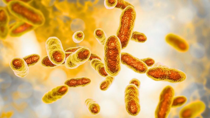 Bacteriile care „mănâncă” uraniu, descoperite într-o fostă mină sovietică. Ar putea curăța apele radioactive