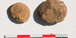 Cartofii de 500 de ani care au hrănit Imperiul Incaș: descoperirea rară făcută într-un depozit din Peru