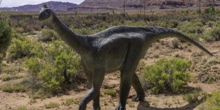 O fosilă descoperită acum 40 de ani rescrie istoria dinozaurilor din Antarctica