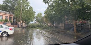 RO-ALERT, din nou în centrul controverselor după codul roșu din București. Ce spun românii: „Nu toată lumea era în casă când a început furtuna”