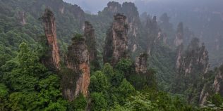 China a plantat 66 de miliarde de copaci. Noul studiu arată un efect pe care cercetătorii nu îl anticipau pe deplin