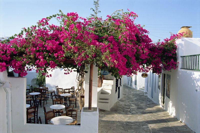 Insula din Grecia cu plaje spectaculoase și mâncare ieftină. Aici poți găsi preparate delicioase la doar 3 euro