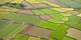 Moștenirea care valorează tot mai mult. Ce trebuie să faci dacă primești teren agricol de la părinți