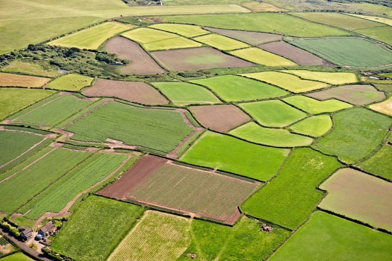 Moștenirea care valorează tot mai mult. Ce trebuie să faci dacă primești teren agricol de la părinți
