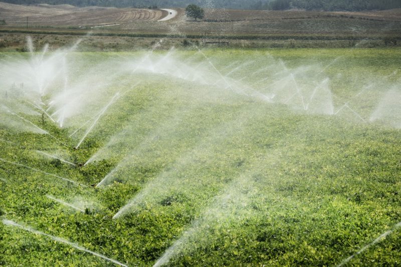 Fermierii, ajutați înainte de noul sezon agricol. Ce prevede noul pachet votat în Parlamentul European