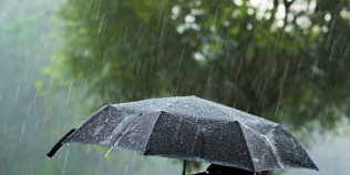 Alertă meteo în România. Vânt puternic până miercuri, iar șapte județe intră sub Cod galben