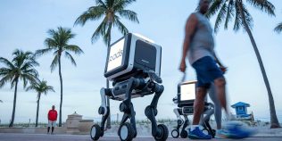 O femeie de 78 de ani a fost arestată pentru că a blocat un robot de livrări pe trotuar. Protestul neobișnuit împotriva inteligenței artificiale a devenit viral