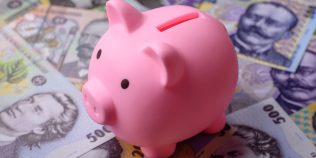 Câți bani intră lunar într-o gospodărie din România. Salariile aduc peste două treimi din veniturile unei familii