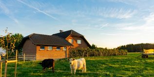 Cum poți sta gratuit în Germania, cu 3 mese pe zi incluse. Oferta pentru cei dispuși să lucreze 32 de ore pe săptămână