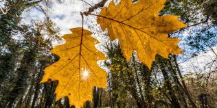Prognoza meteo până la final de octombrie. Unde începe frigul și în ce perioadă temperaturile vor depăși normalul
