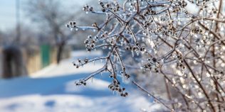 Aer polar la început de noiembrie. Cum se schimbă vremea până la sfârșitul lunii