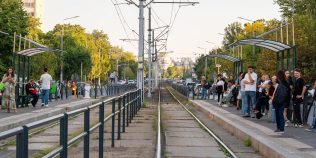 De ce sunt atât de mulți șobolani într-o zonă centrală din București. Două probleme fac inutilă deratizarea, explicaţiile Primăriei Capitalei