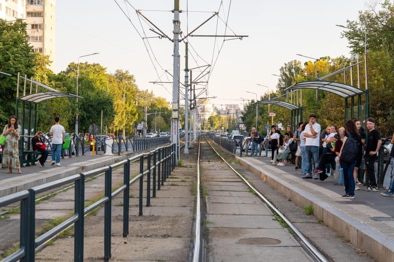 De ce sunt atât de mulți șobolani într-o zonă centrală din București. Două probleme fac inutilă deratizarea, explicațiile Primăriei Capitalei