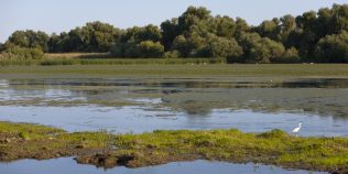 Debitul Dunării continuă să scadă în octombrie. Prognoza hidrologilor și problema care afectează producția de energie