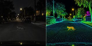 Elon Musk explică de ce Tesla Robotaxi nu circulă toată noaptea. Problema neașteptată: pisicile gri pe asfalt întunecat