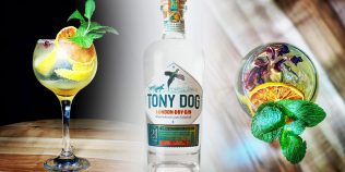 Cum faci un gin tonic cu Tony Dog și descoperi povestea celui mai nou gin românesc cu 21 de plante. Merge cu apa tonică Indian de la Alchemico, tot din România