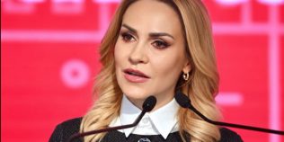 Ce avere avea Gabriela Firea înainte să devină europarlamentar. Cât valorau bijuteriile și tablourile declarate