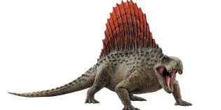 „Prădătorul de top” din Jurasic avea doar jumătate de metru. Creatura blănoasă care vâna în apă acum 165 de milioane de ani