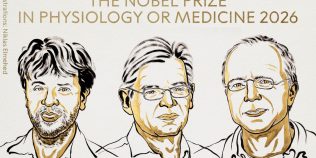 Premiul Nobel pentru Medicină 2026, acordat cercetătorilor care au găsit o metodă de a „aprinde” și „stinge” neuronii cu lumină