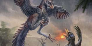O pasăre care nu putea zbura, veche de 150 de milioane de ani, schimbă ce știm despre evoluția păsărilor