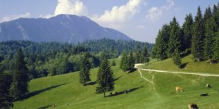 Locul din România unde nu ai nevoie de mașină în vacanță. A depășit Madeira, Provence și Lacul Como